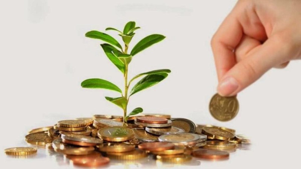 Gieo đồng tiền để trồng lên giá trị – đầu tư cho tương lai và cuộc sống có ý nghĩa