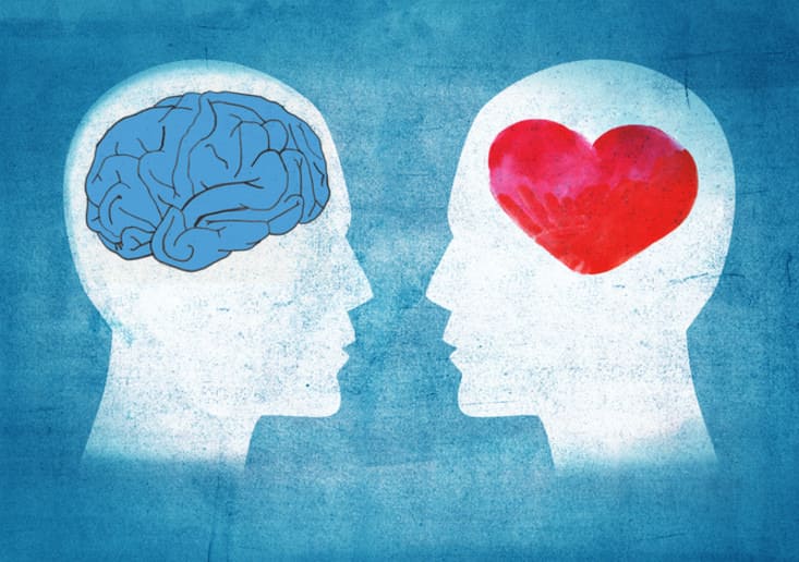 Hai cái đầu đối diện nhau, một bên là bộ não lý trí, bên kia là trái tim cảm xúc